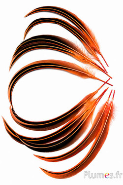 Ente Mandarin - 15-20 cm - blutorange